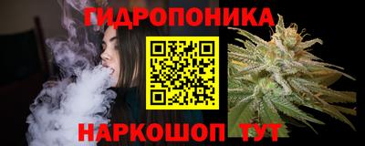 крисы Боровичи