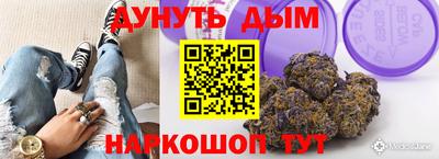крисы Боровичи
