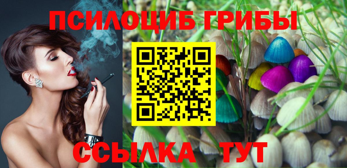 Воркута  закладки  Вход с VPN  Галлюциногенные грибы MAGIC MUSHROOMS 